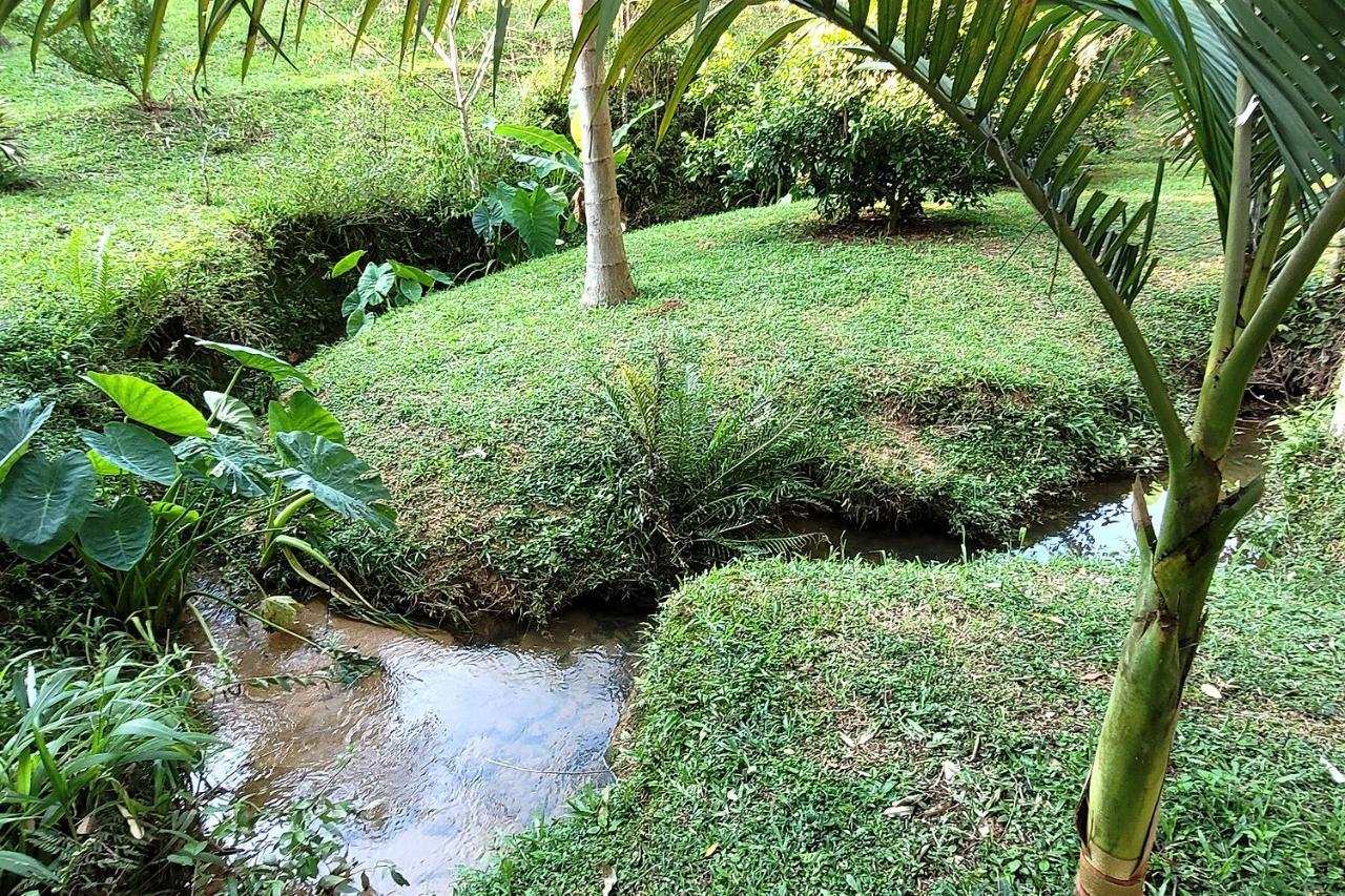 Recanto Dos Sabias - Chales Sao Bonifacio Sc Экстерьер фото